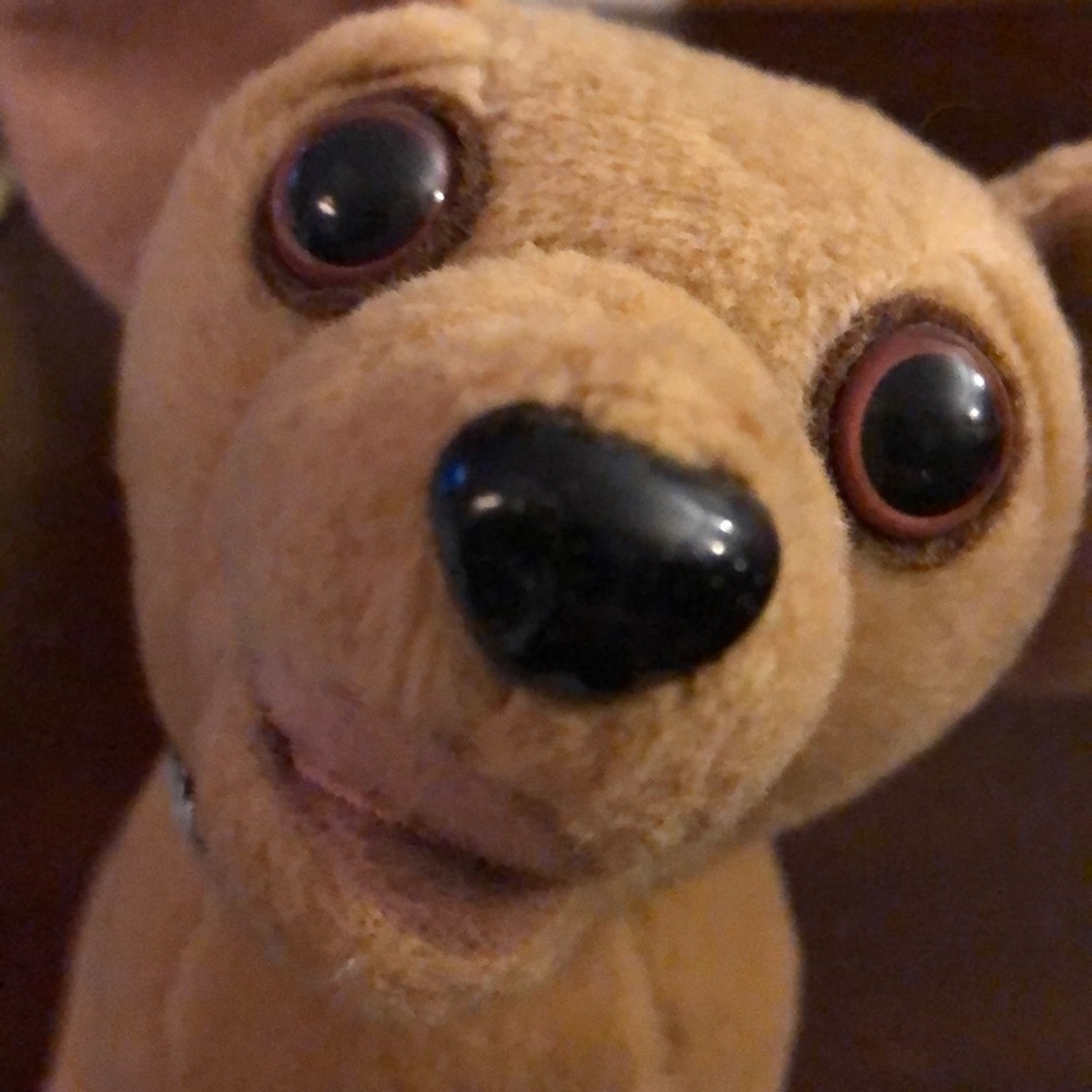 Taco Bell Stuffed Dog - Picture 6 of 6